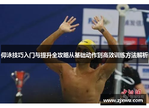 仰泳技巧入门与提升全攻略从基础动作到高效训练方法解析