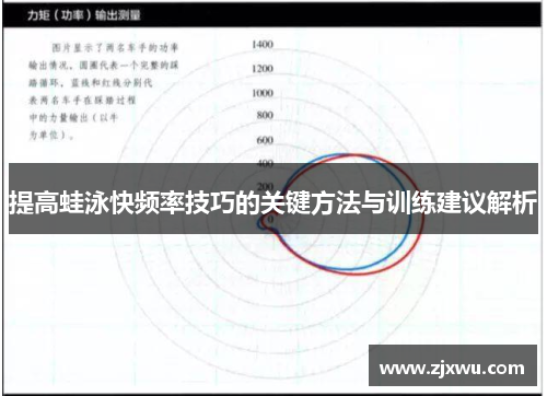提高蛙泳快频率技巧的关键方法与训练建议解析